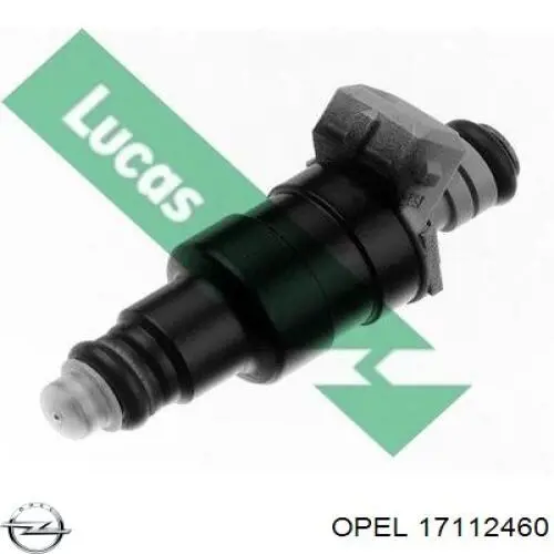 817422 Opel Топливные форсунки