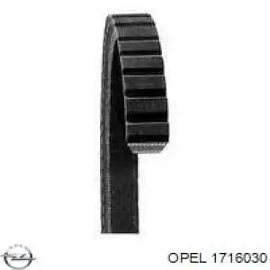 Датчики парковки задний Opel 1716030