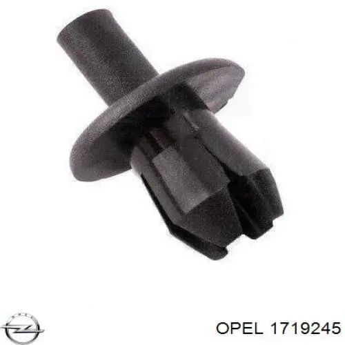 1719245 Opel пистон (клип крепления подкрылка переднего крыла)