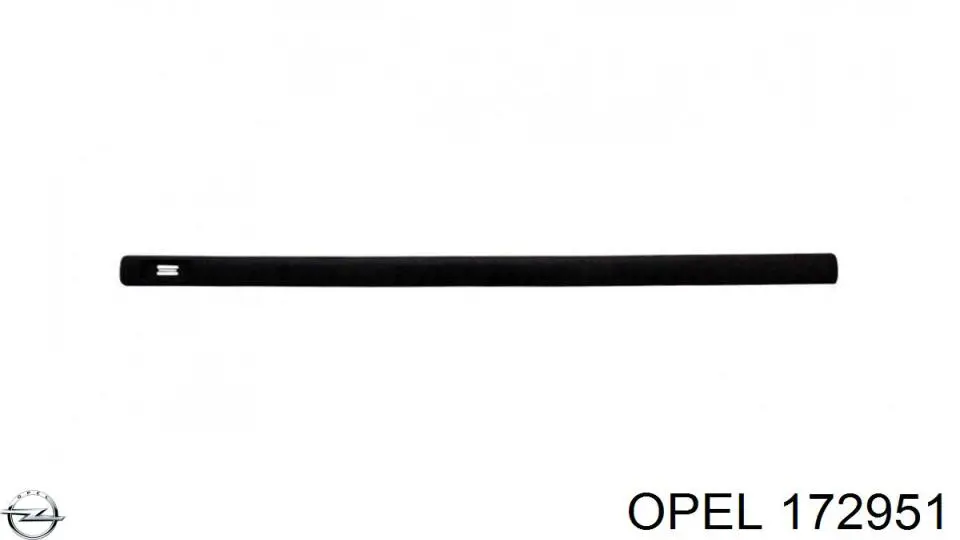 172951 Opel Накладка передней двери