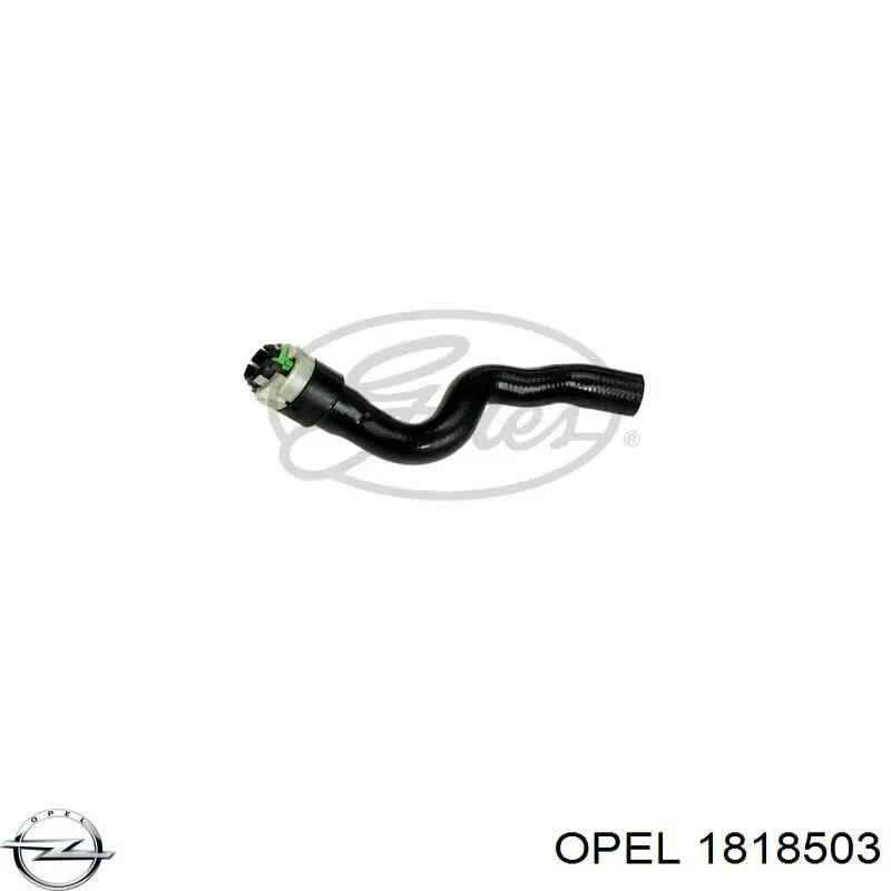 1818503 Opel mangueira do radiador de aquecedor (de forno, fornecimento)