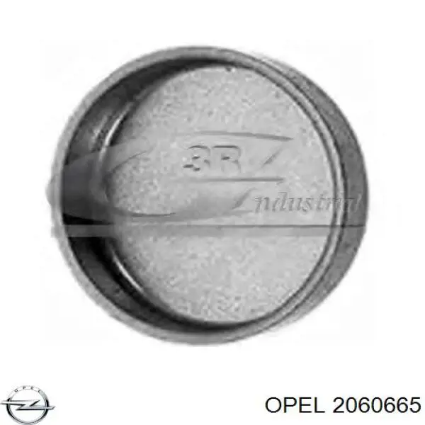 2060665 Opel заглушка гбц/блока цилиндров