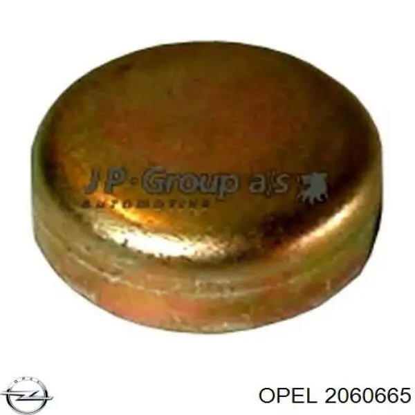 Купить 2060665 Opel Заглушка ГБЦ