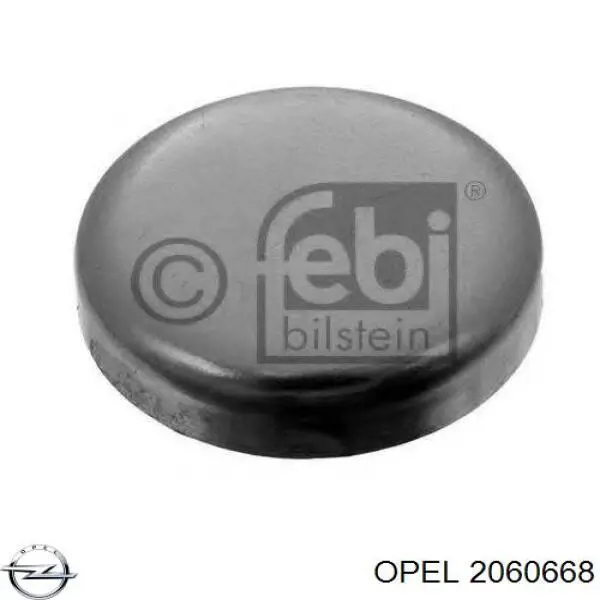 2060668 Opel заглушка гбц/блока цилиндров