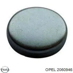 2060946 Opel заглушка гбц/блока цилиндров