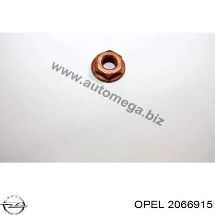 Купить 2066915 Opel Гайка крепления приемной трубы глушителя (штанов)