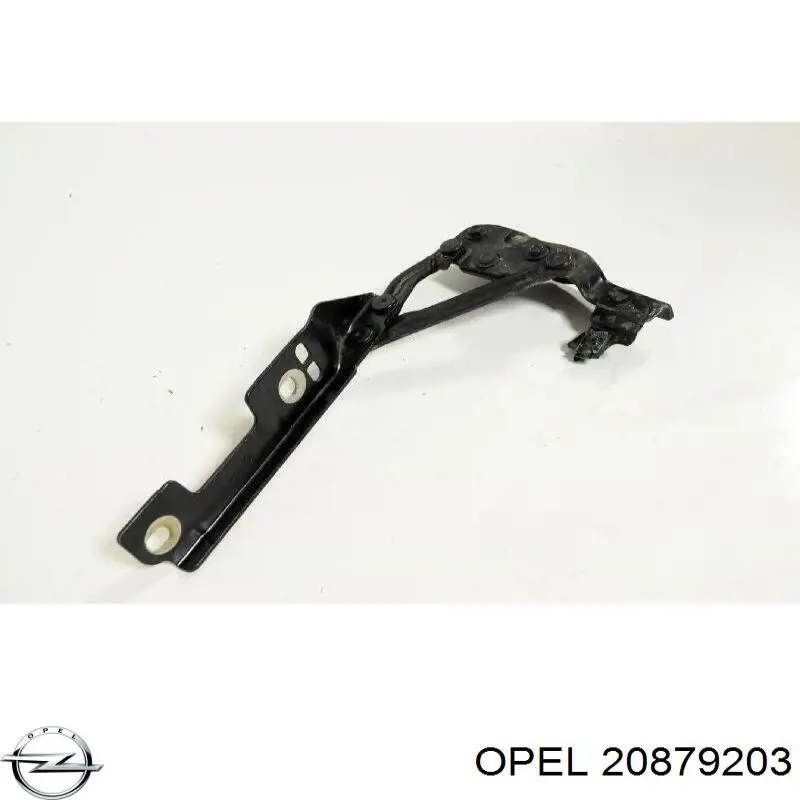 Купить 1160057 Opel Завеса капота правая