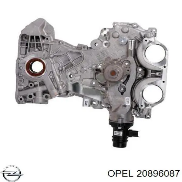  20896087 Peugeot/Citroen