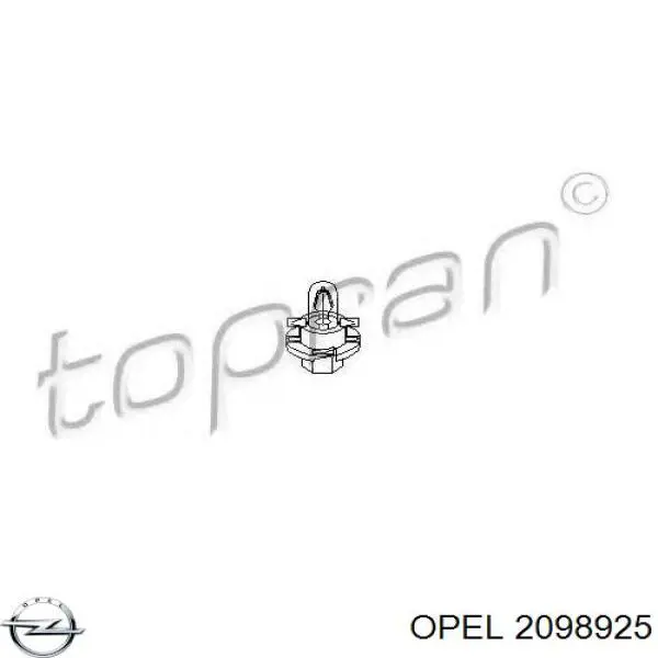 2098925 Opel 