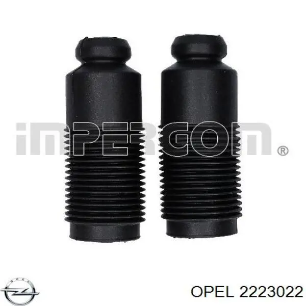 2223022 Opel Пластик пятой двери