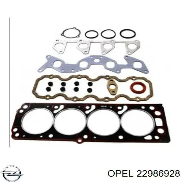 Купить 22986928 Opel Шланг радиатора охлаждения нижний