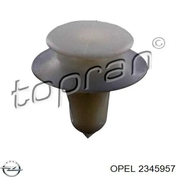 2345957 Opel пистон (клип крепления обшивки двери)