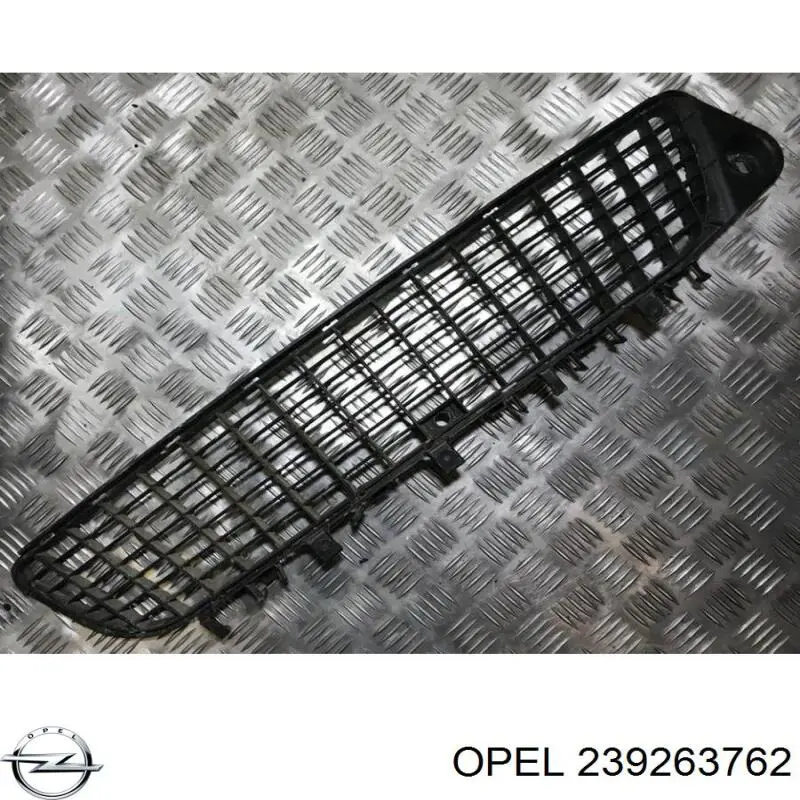  239263762 Opel