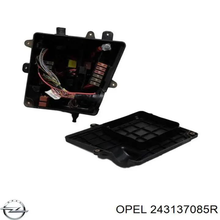  Renault (RVI) 243137085R цена, от 33.82 USD