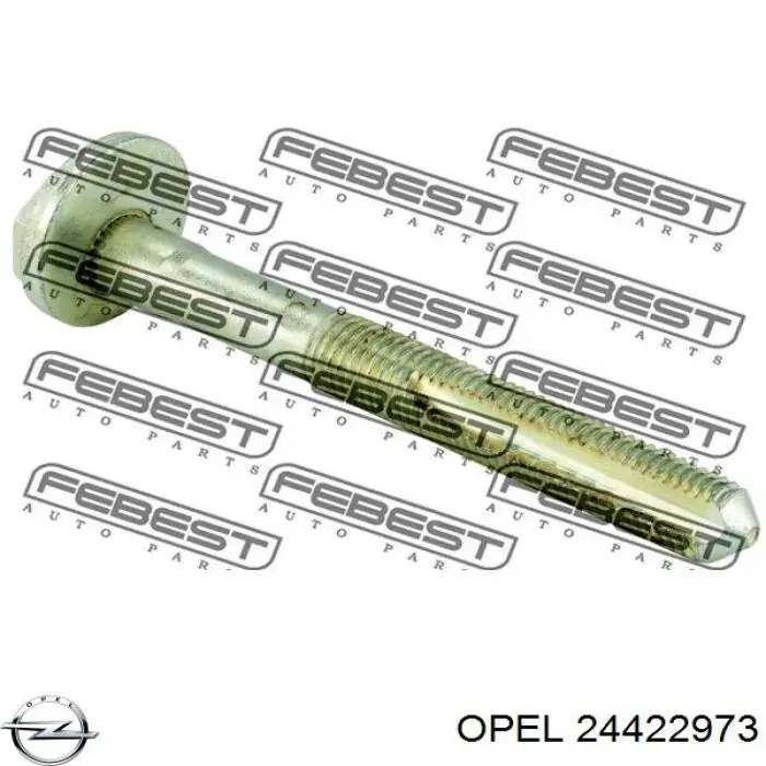 24422973 Opel Болт крепления заднего развального рычага, внутренний