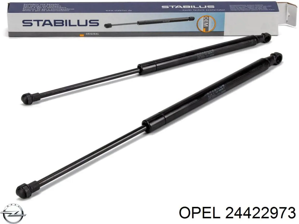 Болт крепления заднего развального рычага, внутренний Opel 24422973 цена, от 10.10 USD