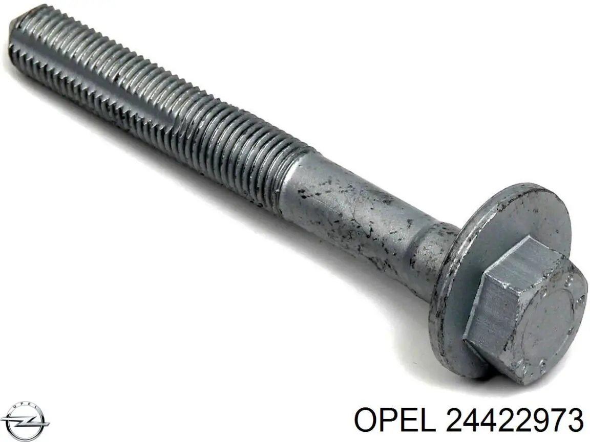 Купить 24422973 Opel Болт крепления заднего развального рычага, внутренний