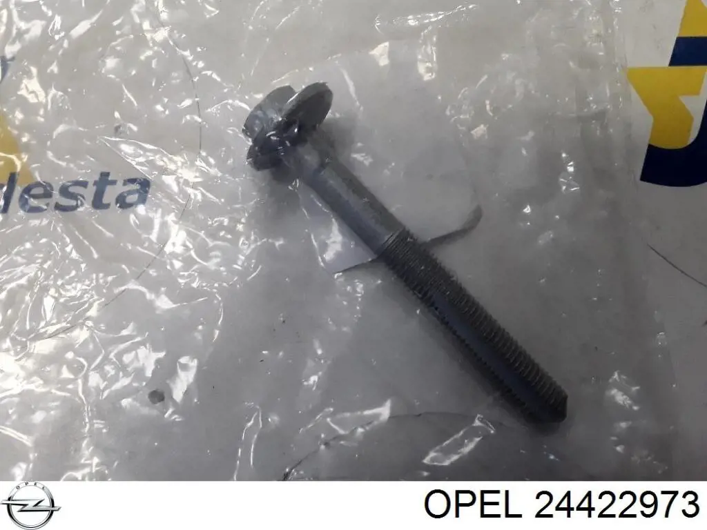 Болт крепления заднего развального рычага, внутренний 24422973 Opel