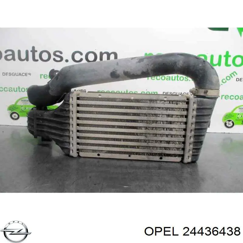 24436438 Opel radiador de intercooler