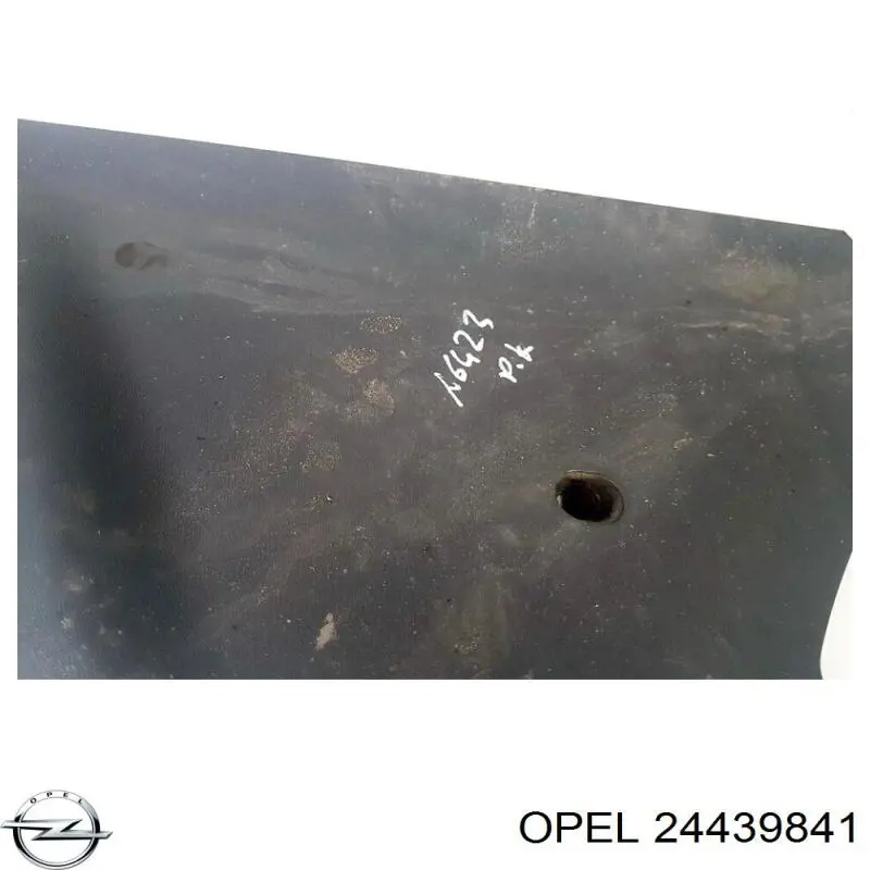 24439841 Opel 