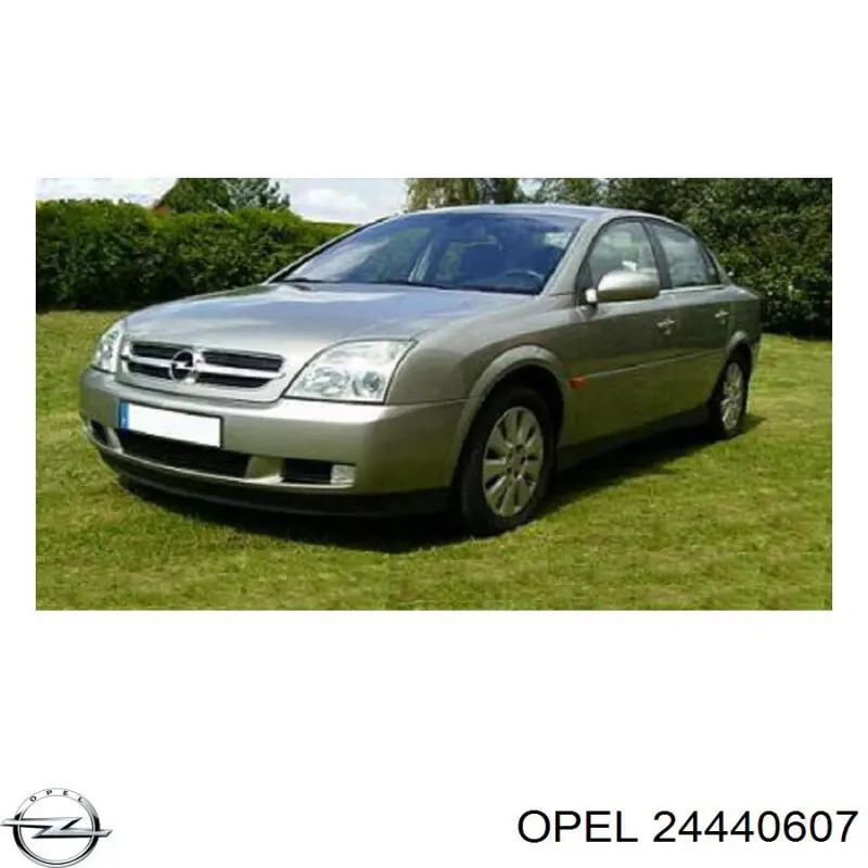 Центральная решетка переднего бампера на Opel Vectra C 