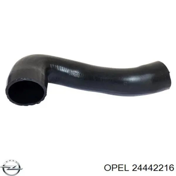24442216 Opel шланг (патрубок интеркуллера верхний)