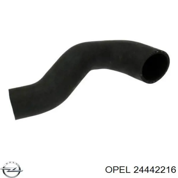 Купить 24442216 Opel Патрубок интеркулера