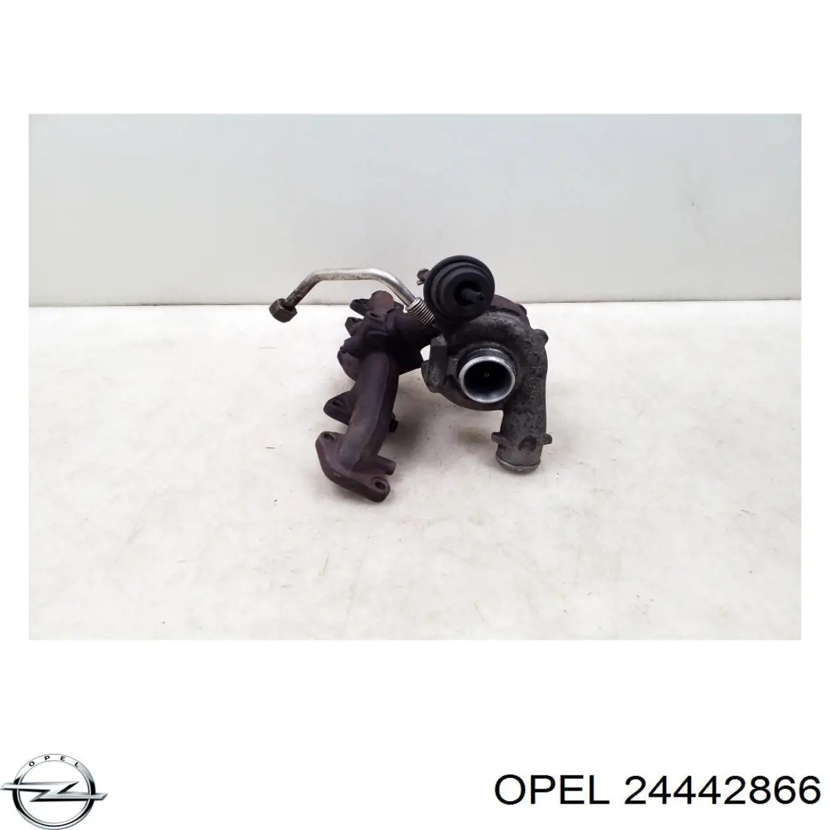 Газопроводы (коллектор выпускной) Opel 24442866 цена, от 3.80 USD