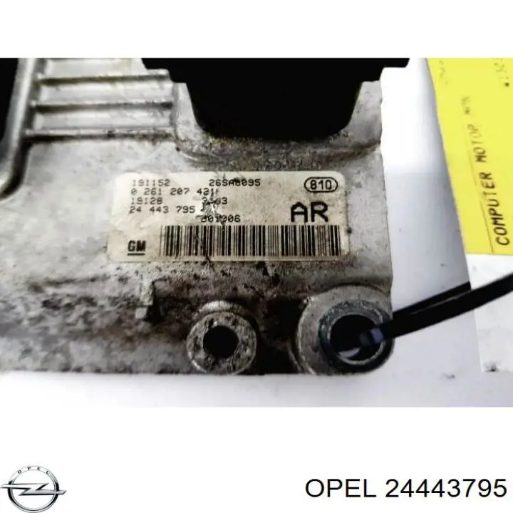 Купить 24443795 Opel 