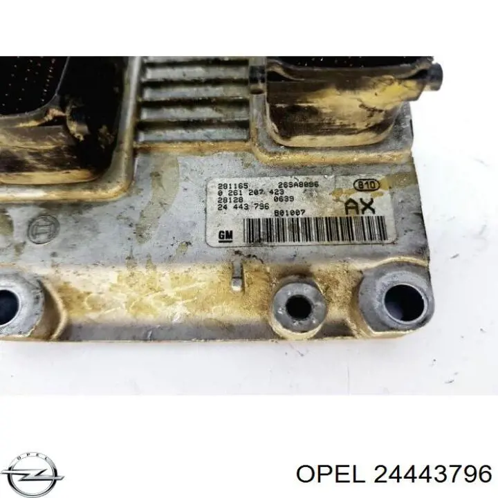 24443796 Opel Мозги двигателя
