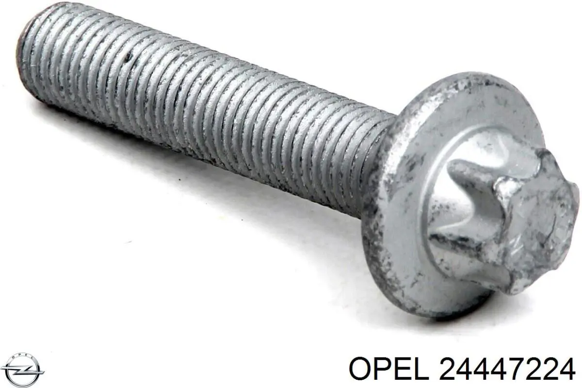 24447224 Opel