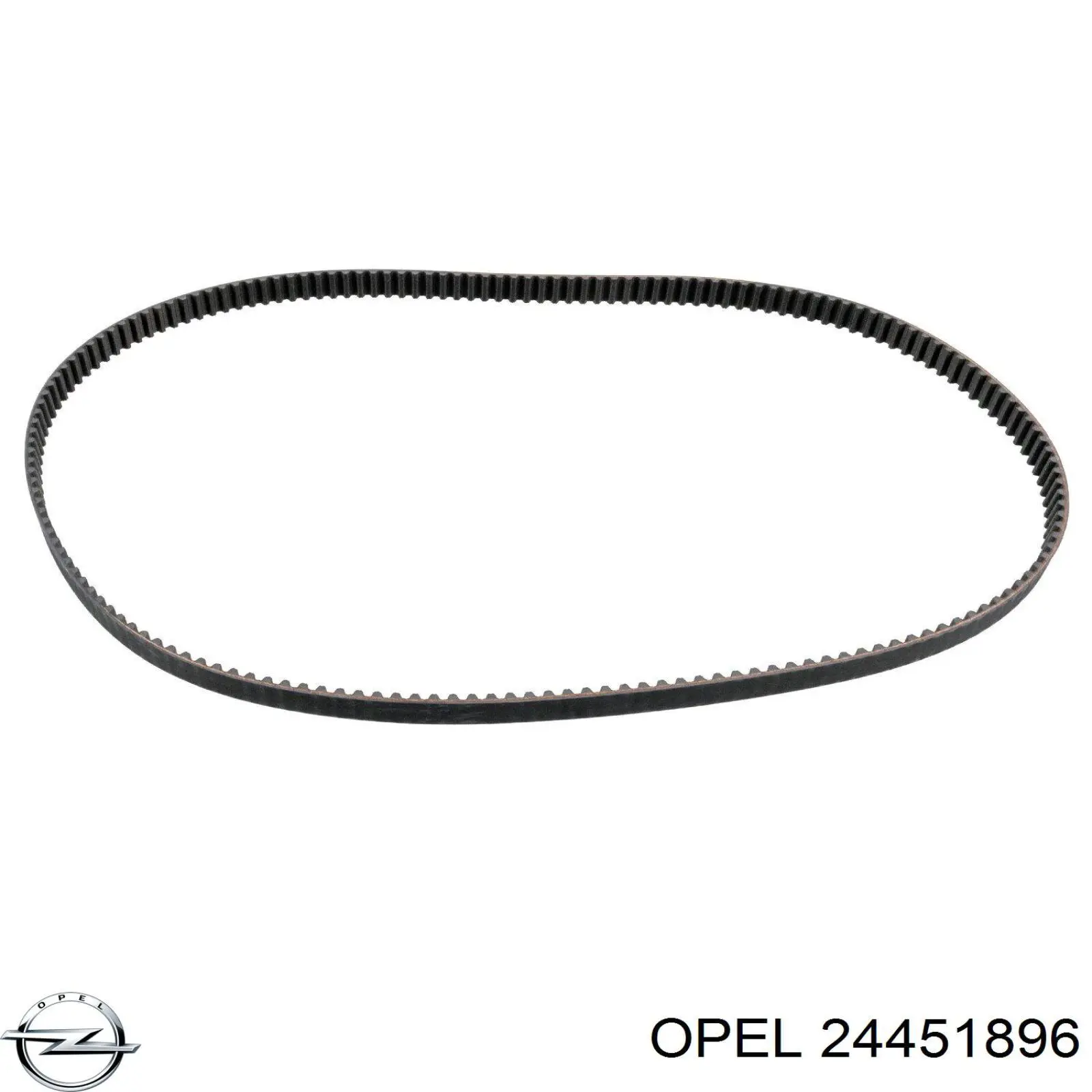 Купить 24451896 Opel Ремень газораспределительного механизма