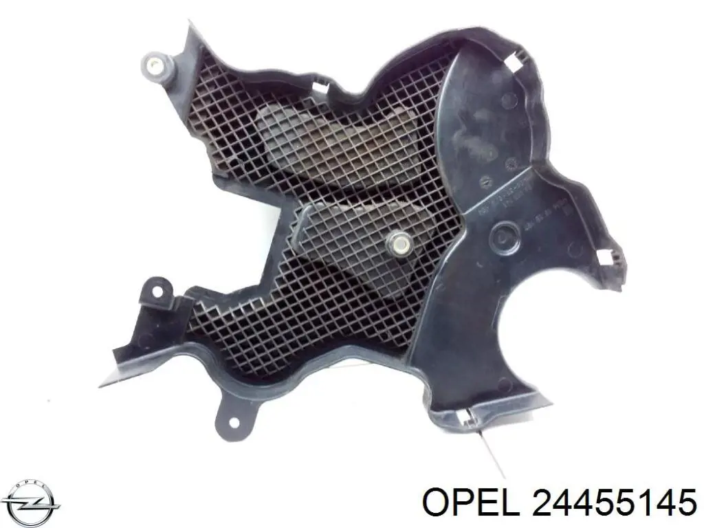  24455145 Opel