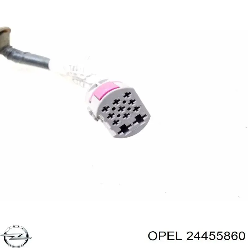 Купить 24455860 Opel 