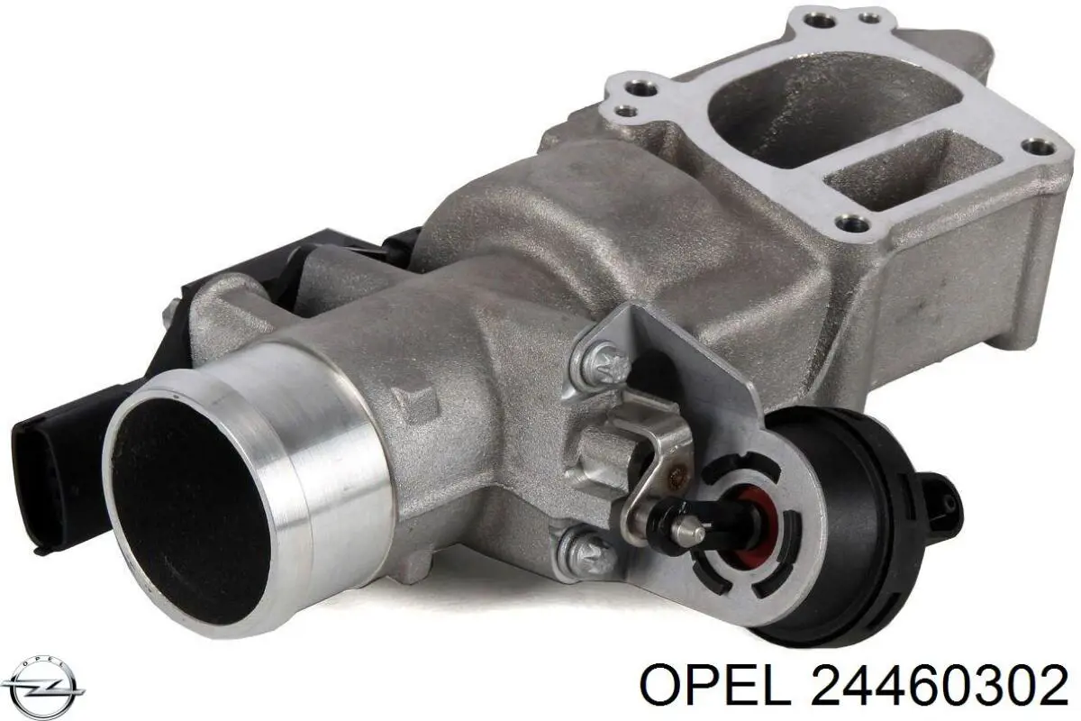 24460302 Opel 