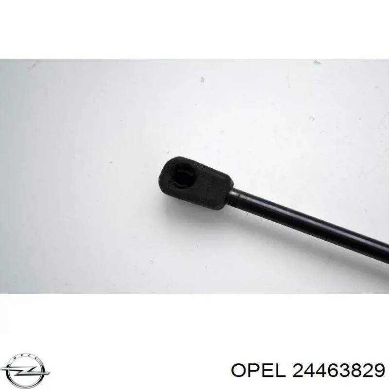 Амортизатор задней двери Opel 24463829 цена, от 5.53 USD