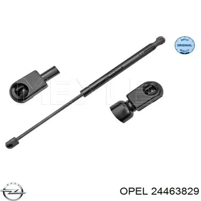 Купить 24463829 Opel Амортизатор двери багажника