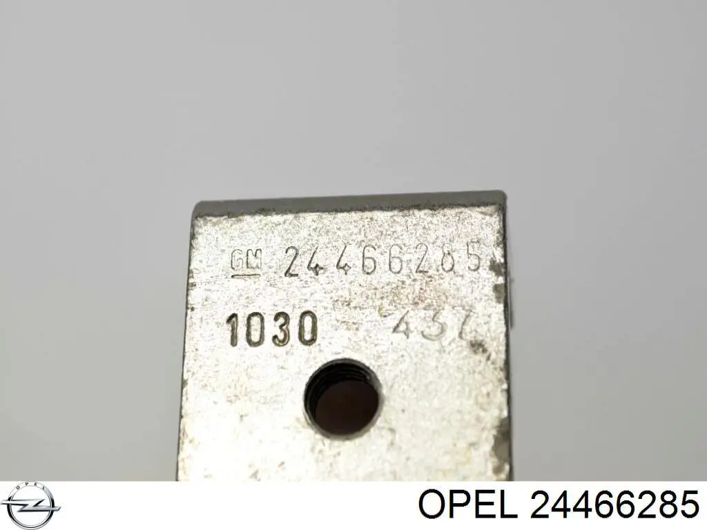Петля задней двери 24466285 General Motors