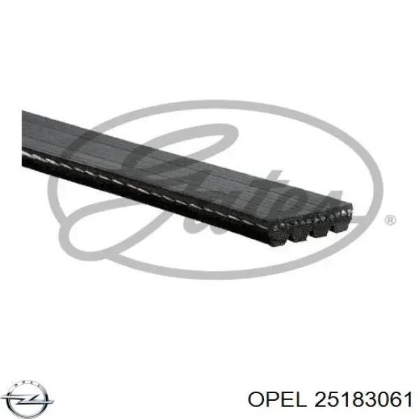 25183061 Opel ремень генератора