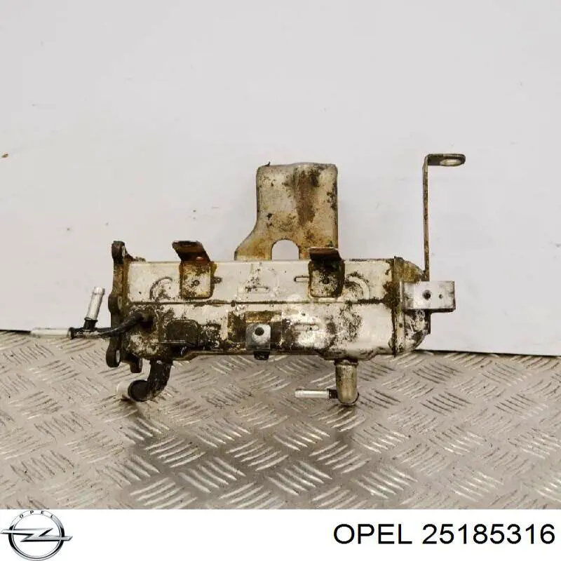 Купить 25198287 Peugeot/Citroen Клапан EGR системы рециркуляции отработавших газов
