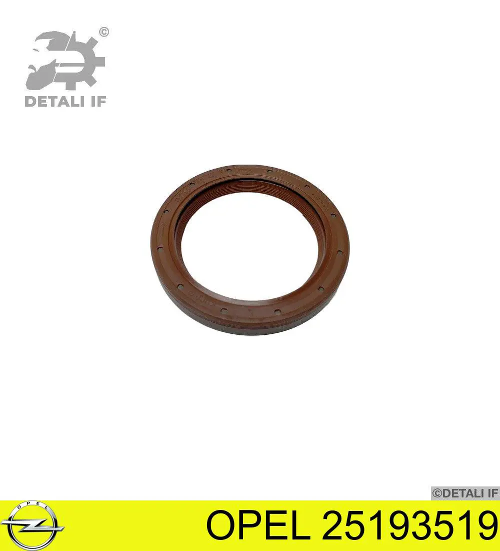 Сальник коленчатого вала Opel 25193519 цена, от 3.20 USD