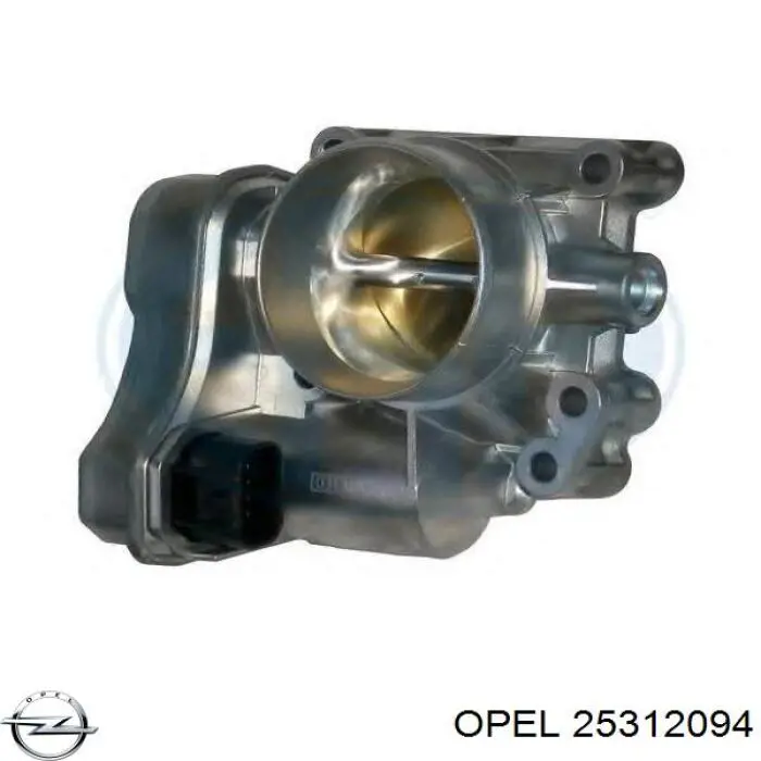 Купить 25312094 Opel Блок дроссельной заслонки