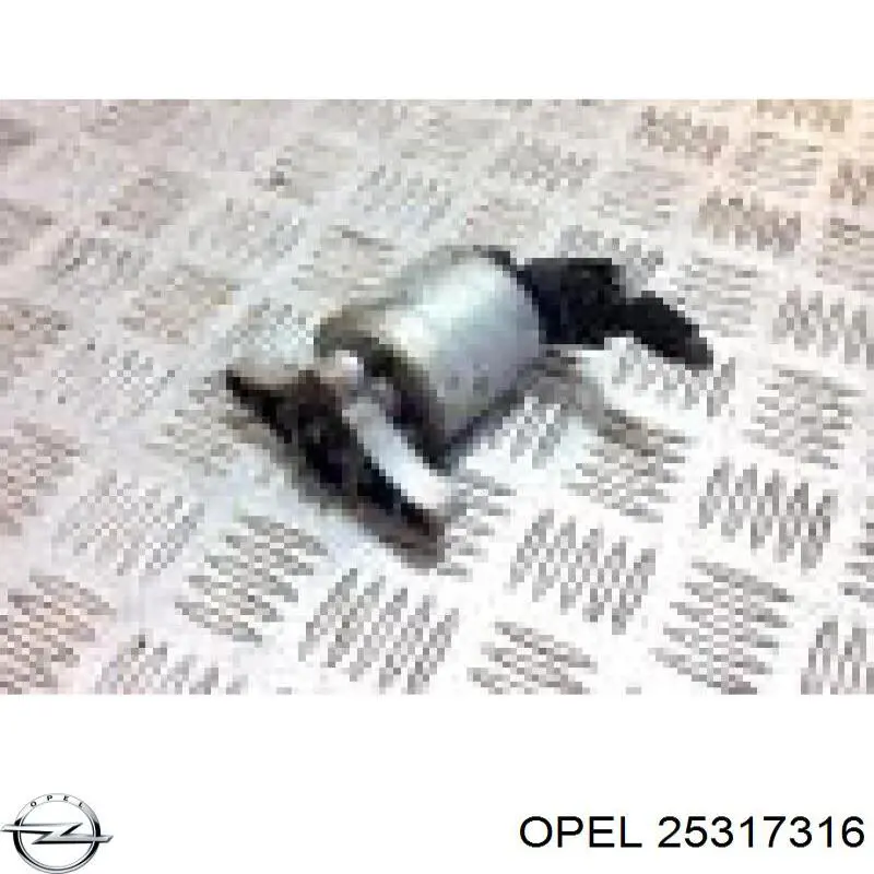 Форсунка впрыска топлива Opel 25317316