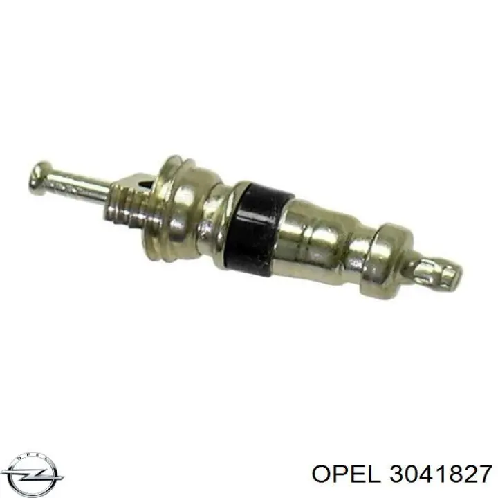 3041827 Opel клапан заправки кондиционера