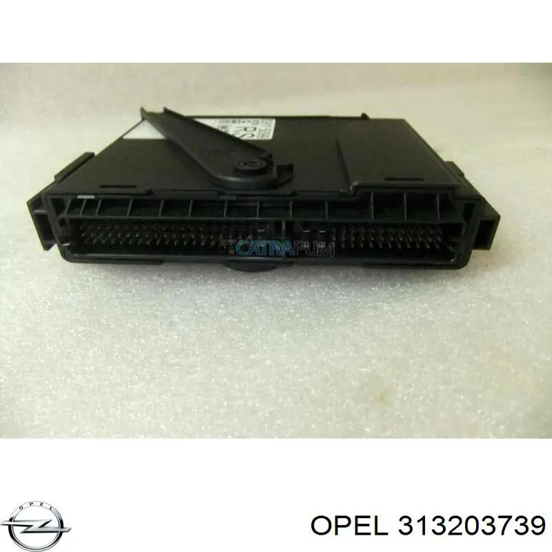  313203739 Opel