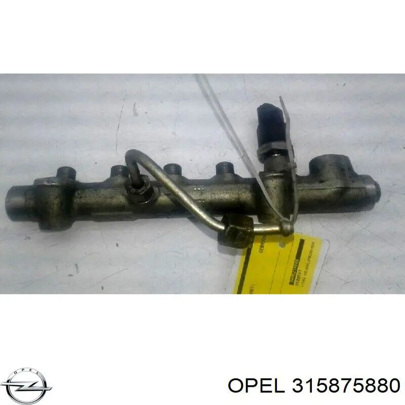 Купить 315875880 Opel 