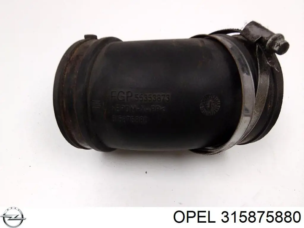  Opel 315875880 цена, от 5.45 USD