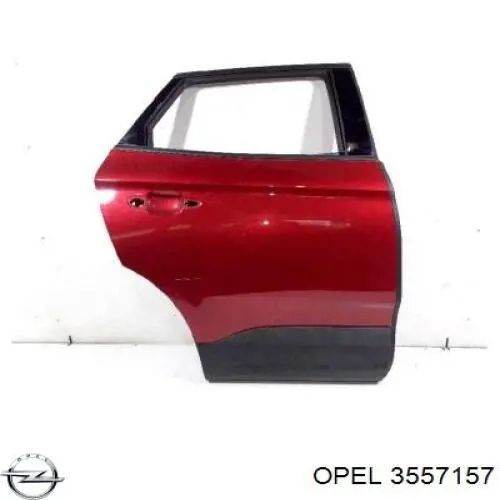 Амортизатор задний RS319562 Raiso