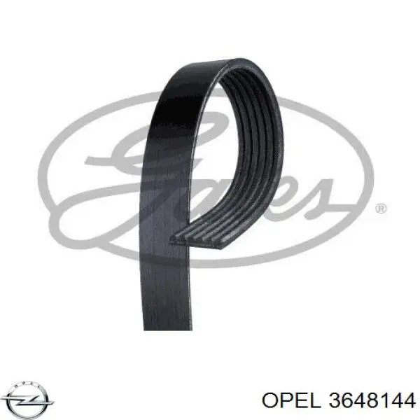 Ремень агрегатов приводной, комплект Opel 3648144