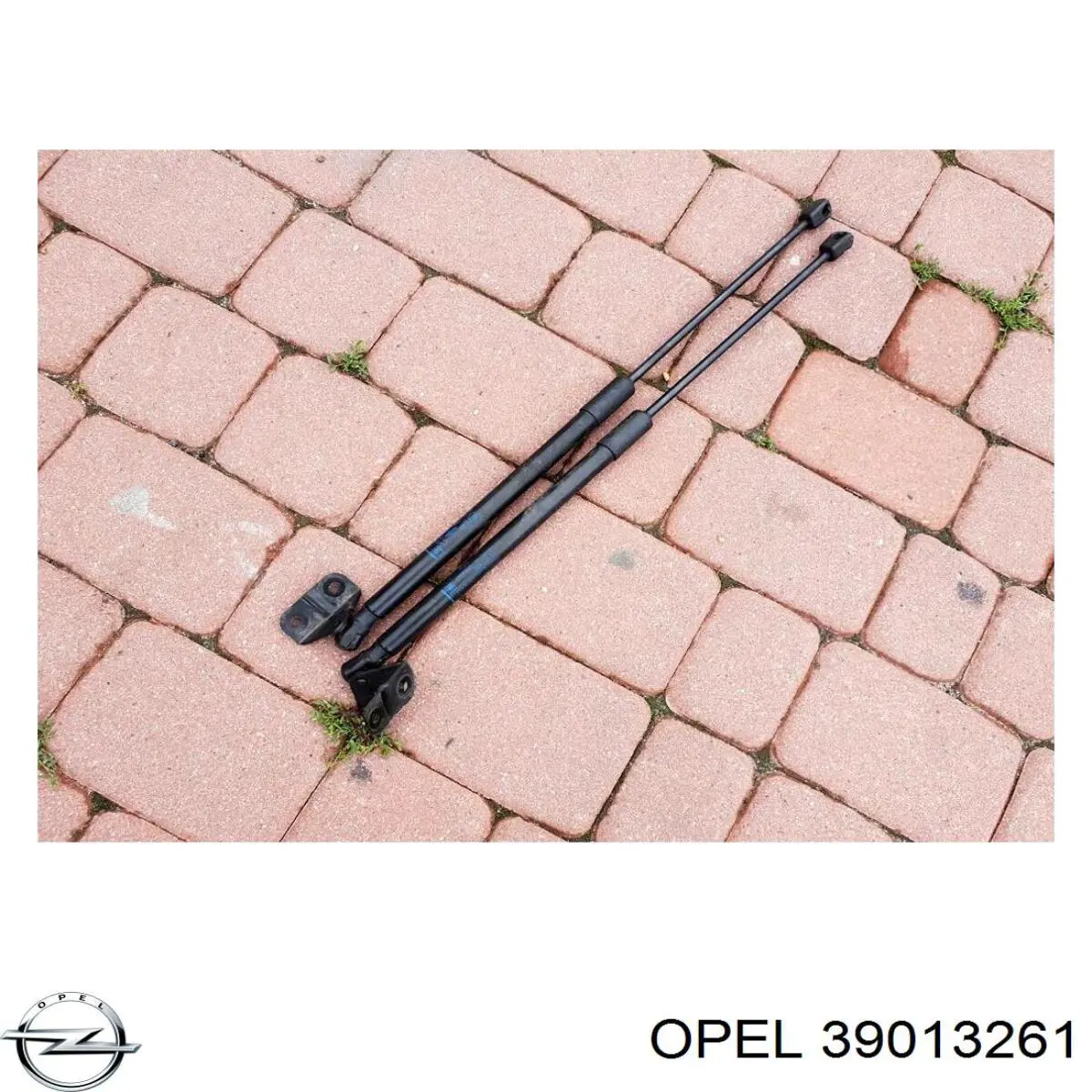  Opel 39013261 цена, от 14.06 USD